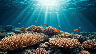 Scuba Makes The Andamans Feel Deeper, Literally