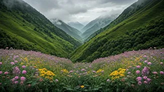Nature's Best Monsoon Show Is In North India