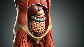 Belly Fat Blocker: 4 Fitness Mistakes You Need to Fix