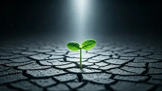 Clearing the Air in India: Expert Insights on Pollution's Roots and Remedies