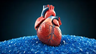 Melatonin's Mysteries: Unveiling Heart Health