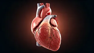 Cholesterol Tests: When and Why You Need Them