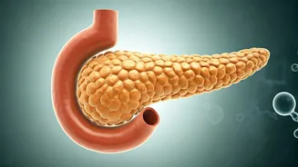 Type 2 Diabetes in India: Understanding Symptoms, Causes, and Prevention with Science