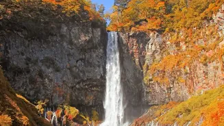 Offbeat Autumn Getaways In Meghalaya: Explore Sohra Waterfalls Root Bridges