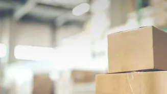 The Current Story Around India's Latest UPS Adoption Figure Highlights Employee Choice And Trade-Offs