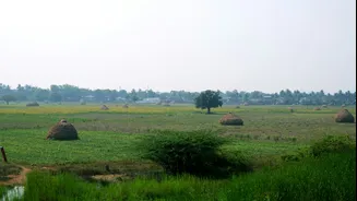 Telangana Faces 17% Rainfall Deficit Amid El Niño Concerns