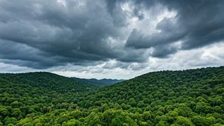 Monsoon Andaman Is For Travellers Who Like Quiet