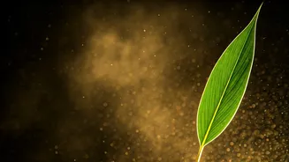 India's Construction Boom: Unseen Dust Dangers and Health Impacts