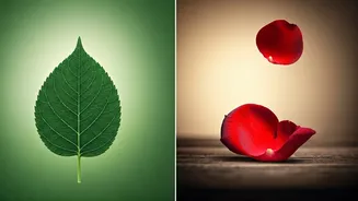 Relationship Analysis: Are 'Red Flags' and 'Green Flags' Harming More Than Helping?