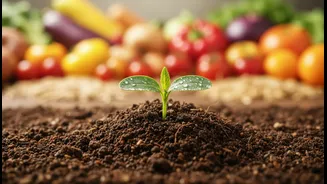 Can Crop Diversity And Hidden Hunger improve diversified production and district-level health without single-crop nutrition solutions?