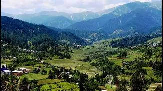 Must-Visit Flower Gardens of India: A Bloom-Filled Escape into Nature