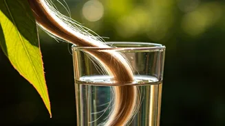 Unlock Silky, Shiny Hair: A Magical Elixir