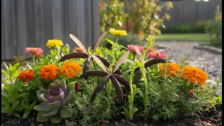 The Best Starter Garden Balances Curiosity With Low Maintenance