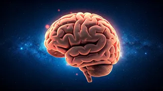Sleep's Surprising Impact: Energy & Well-being