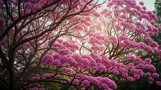 Related Stories banner