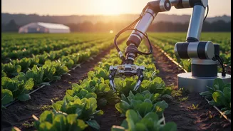 Automation must be evaluated for local crops and conditions: a key limit for Coimbatore's Agri Intex