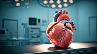 Cardiac Arrest: Understanding the Risks & Recovery