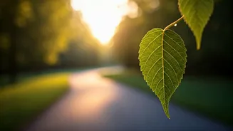 Five-Minute Walks Fit Even Busy Calendars