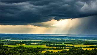Monsoon Madness: Rain Gods Finally Enter Gujarat And Madhya Pradesh