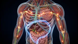 Working-Week Sleep Loss Is Reshaping Discussion around Fitness Plans Built Only around Exercise, but People Must Read the Study without Overgeneral...