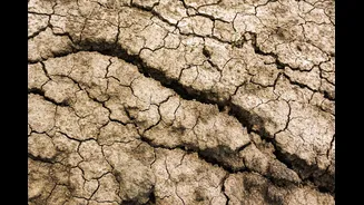 Scorching Summers and Water Scarcity Intensify in Bundelkhand