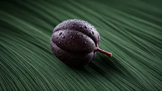 Unlock Lustrous Locks: Simple Karonda (Carissa carandas) Hair Growth Secrets Revealed!