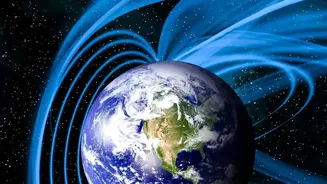 How Magnetosphere Shielding Prevents Cosmic Rays From Mutating Genetic DNA In Organisms