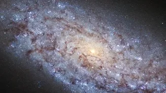 Why The Milky Way Looks Tilted: Astronomers Trace Violent History Ten Billion Years Back