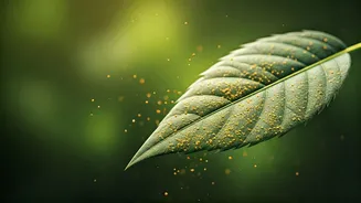 Related Stories banner