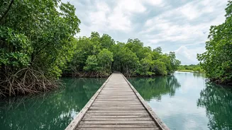 Why Henry's Island Is Becoming Kolkata's Top Budget Monsoon Getaway