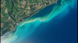 Why turquoise bloom from space maps path of agricultural runoff into oceans