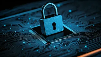 Fortifying Online Frontiers: Understanding Website Security Checks
