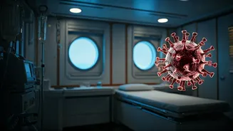 Hantavirus Outbreak on MV Hondius Cruise Ship: Inside the Health Crisis