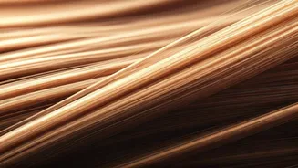 Beat Summer Hair Woes: Your Guide to Taming Frizz, Dandruff, and Hair Fall