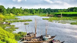 Assam's Monsoon Beauty Offers More Than Just Tea Garden Views