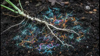 Microbial Research Could Reshape Sustainable Agriculture