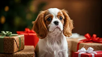 Charming Companions: Delightful Dog Breeds for Gifting