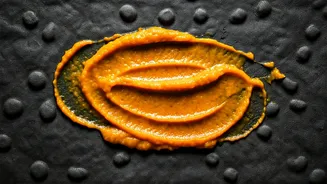Freeze Nutritious Pumpkin Mash Inside Texturized Dog Licking Mats