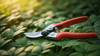 June Gardening Homework Starts With Pruning Shears