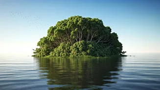 Umananda: Assam's Mystical River Island Home to Mythology and Rare Wildlife