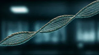 Ancient DNA Has Entered Its Public-Health Era