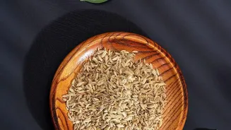 Artisanal Mouth Fresheners Redefined By Young Food Founders Using Roasted Seeds And Botanical Extracts