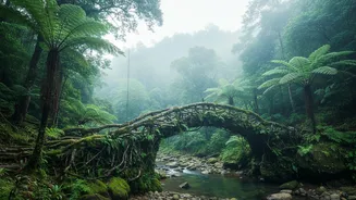 Why Cherrapunji Workations Are High On Wishlists For Young Remote Staff