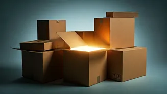 Unlock Your Work Potential: Choose a Box, Discover Your Success Traits