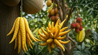Unearth Exotic Flavors: 10 Unique Fruit Trees for Botanical Travelers