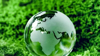 Hormuz and Bab el-Mandeb Scenario: What the Current Status Means for Households and Businesses