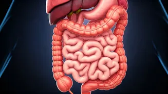 Healthy Gut Boosts Wellness for Indians
