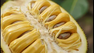 Fresh Produce Is Driving The Kathal Revival