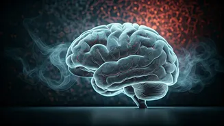 Related Stories banner