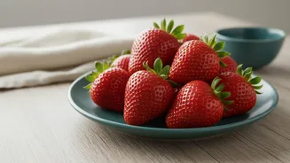 Indian Strawberry Breeding: What the Current Status Means for Farmers and Food Readers